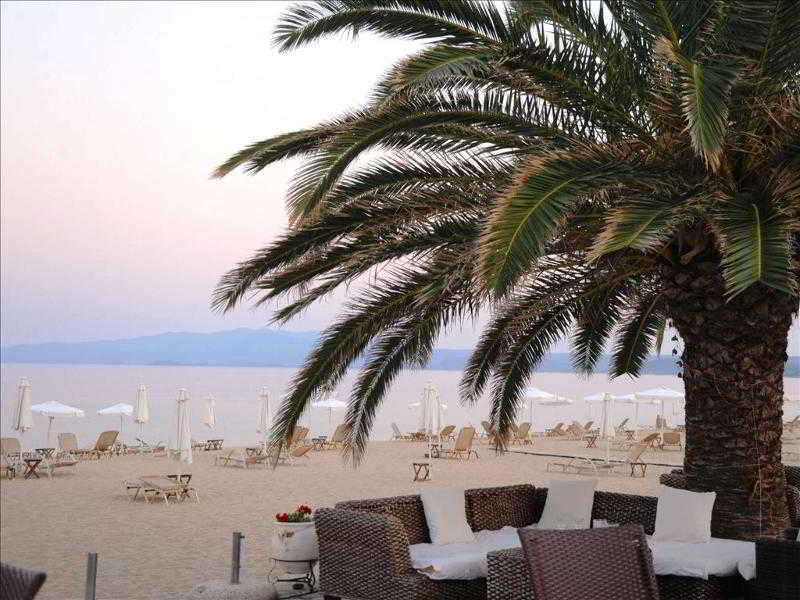 Assa Maris Hotel Chalkidiki Exterior foto